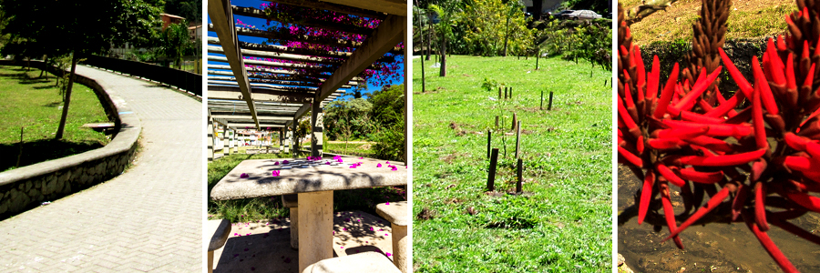 Mosaico com quatro fotografias sendo a primeira de um caminho com tijolos brancos e grama e árvores na lateral, a segunda de uma mesa de xadrez com algumas flores em tom de rosa em cima, a terceira campo aberto com grama baixa e árvores ao fundo, e a quarta de flores vermelhas.